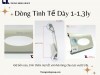 Dòng Tinh Tế Dày 1-1,3ly Có Thật Sự Bền Như Quảng Cáo?