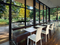 Phong cách thiết kế quán cafe nhỏ tận dụng cửa kính